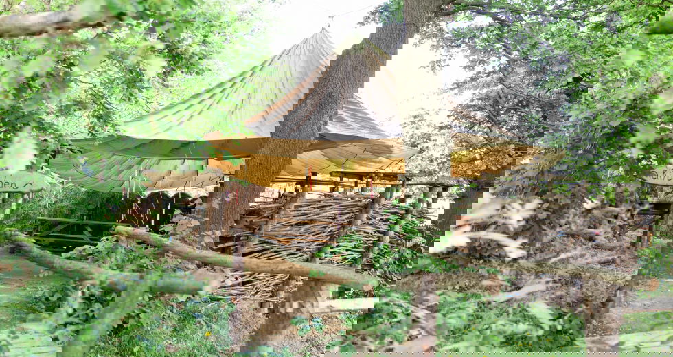 Glamping holidays in Surrey, South East England - Surrey Hills Yurts
